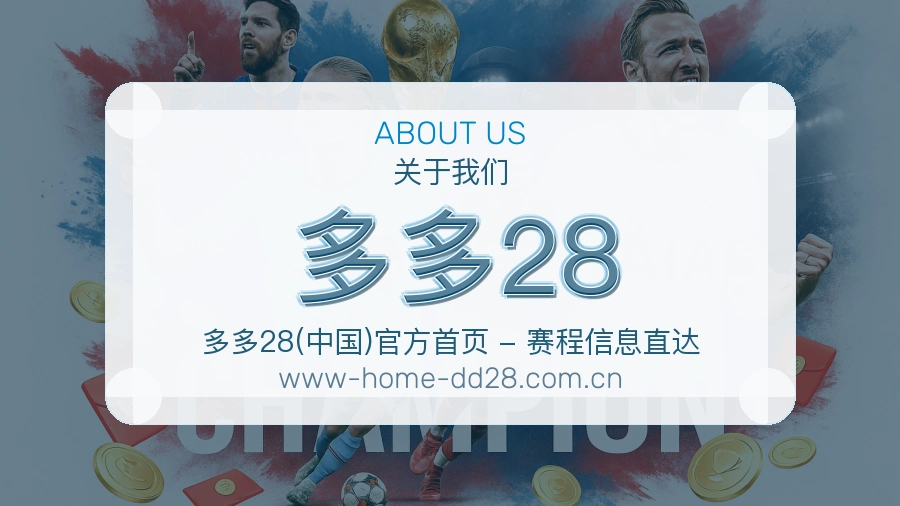 多多28公司简介与平台服务展示